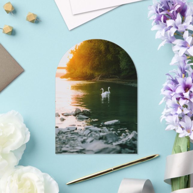 Save The Date/ Wedding Acrylic Invitations (Insitu (Wedding))