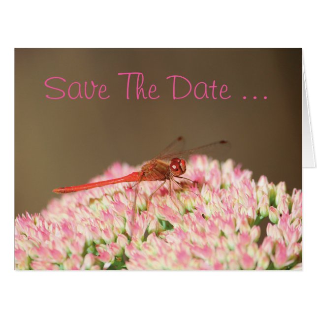 Save The Date Wedding Card (Front Horizontal)