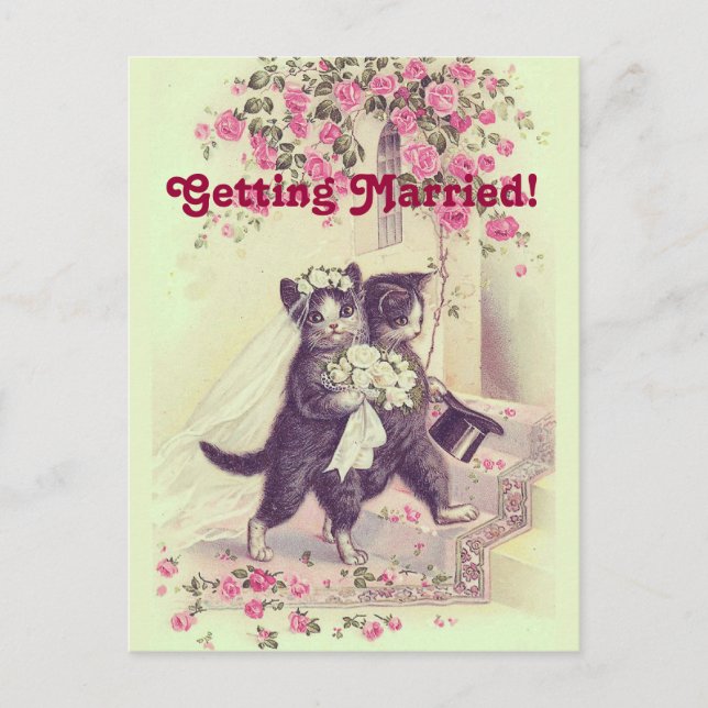 Save the Date Wedding Cats Postcard (Front)