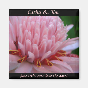 Save the Date Wedding Magnets Pink Ginger