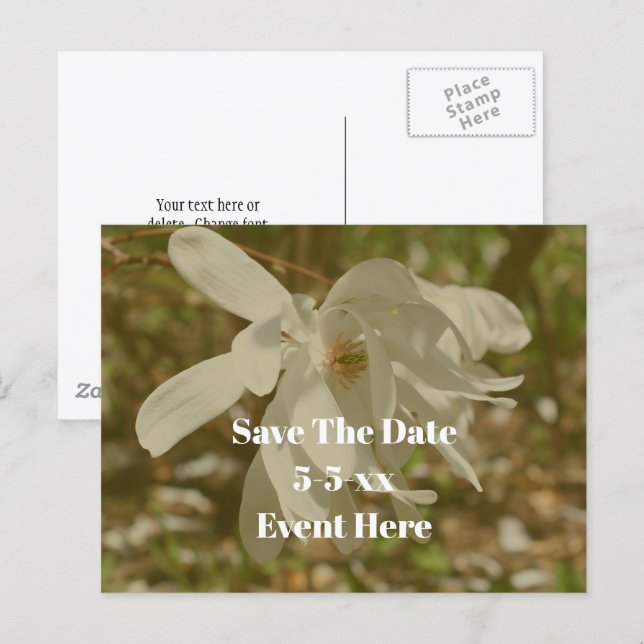 Save The Date White Magnolia Flower  Announcement Postcard (Front/Back)