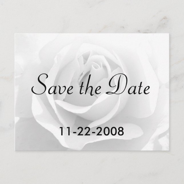 Save the Date White Rose Announcement Postcard (Front)
