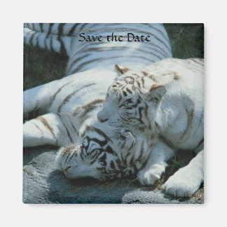 Save the Date White Tiger Magnets
