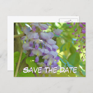 Save The Date Wisteria Flower  Announcement Postcard