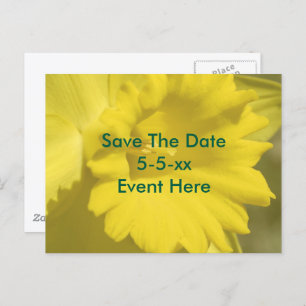 Save The Date Yellow Daffodil Flower  Announcement Postcard