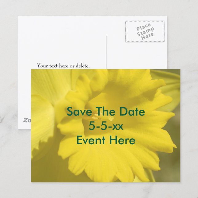 Save The Date Yellow Daffodil Flower  Announcement Postcard (Front/Back)