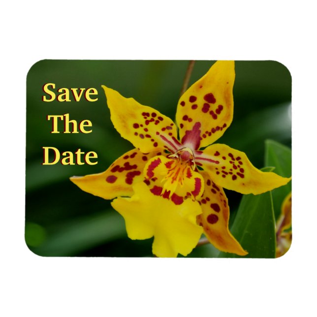Save the Date Yellow Orchid Magnet (Horizontal)