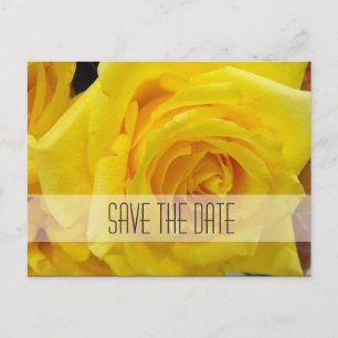 Save the date, yellow rose flower announcement postcard