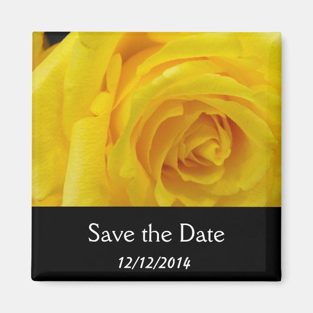 Save the date, yellow rose flower magnet (Front)