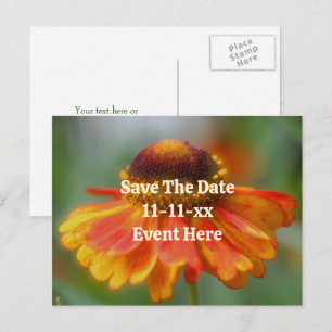 Save The Date Zinnia Flower Personalised Announcement Postcard