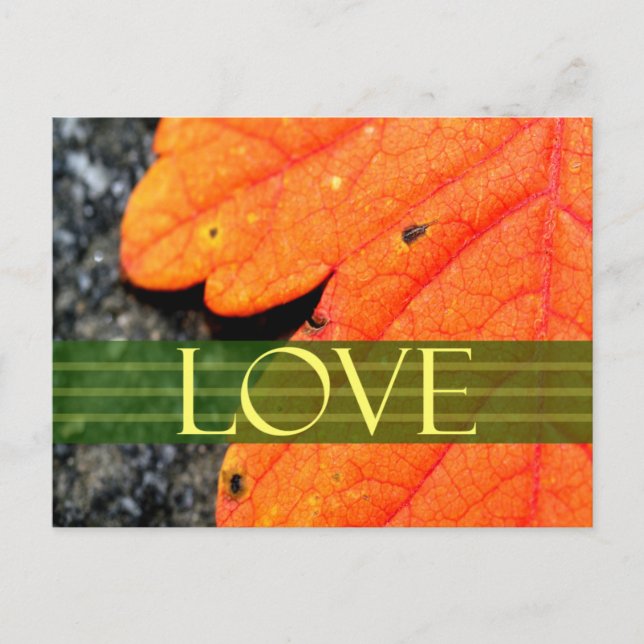 Save The Dates Wedding Card (Front)