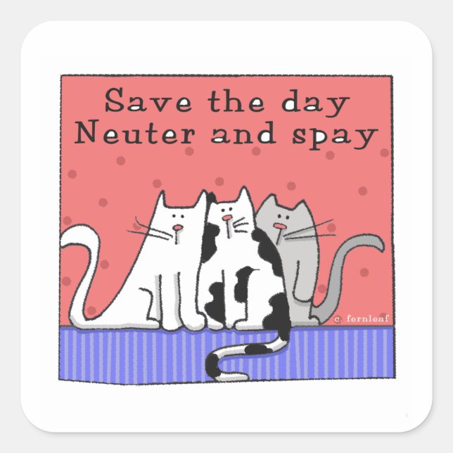 Save the Day, Neuter and Spay Square Sticker (Front)