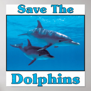 Save the Dolphins Poster