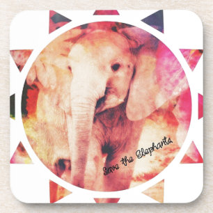 Save the Elephants, Baby Eelephant Sunshine Coaster