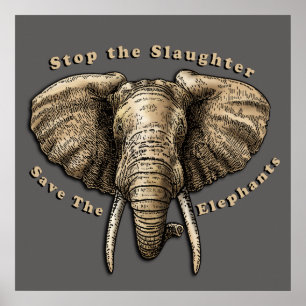 Save the Elephants Graphic Poster
