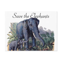 Save the Elephants