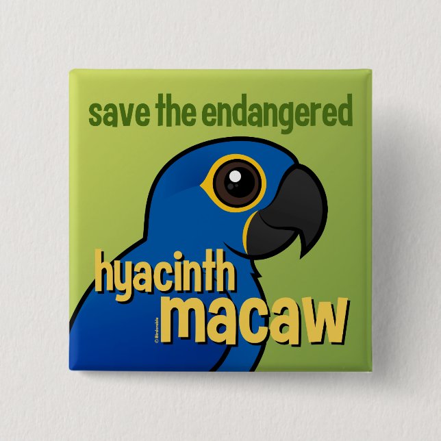 Save the Endangered Hyacinth Macaw 15 Cm Square Badge (Front)