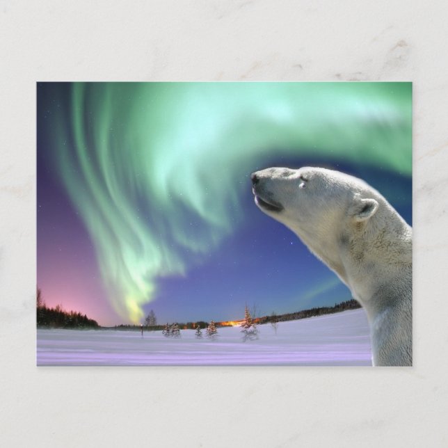 Save the Endangered Polar Bears for Christmas Holiday Postcard (Front)
