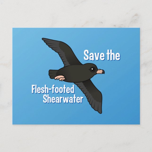 Save the Flesh-footed Shearwater Postcard (Front)