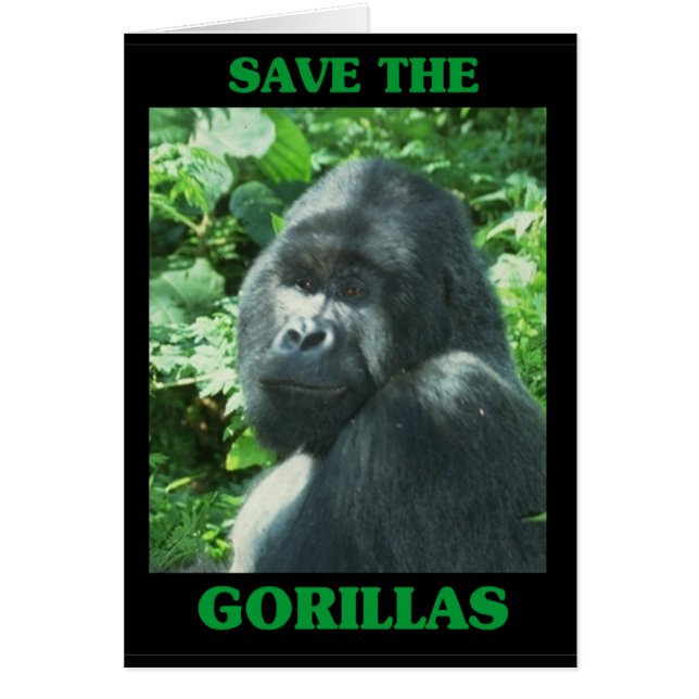 Save the Gorillas (Front)