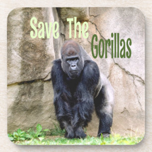 Save The Gorillas Coaster