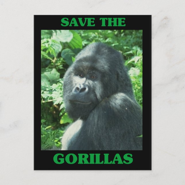 Save the Gorillas Postcard (Front)