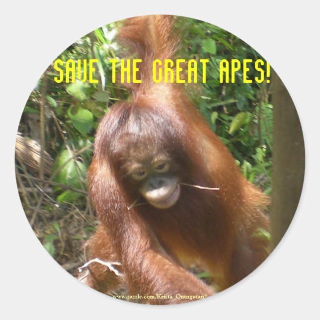 Save the Great Apes Classic Round Sticker (Front)