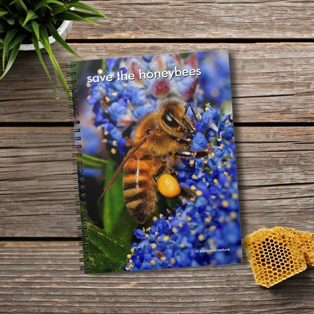 Save the Honeybees Pollinating California Lilac Notebook (Honeybee Pollinating the California Lilac Journal Cover Photo)