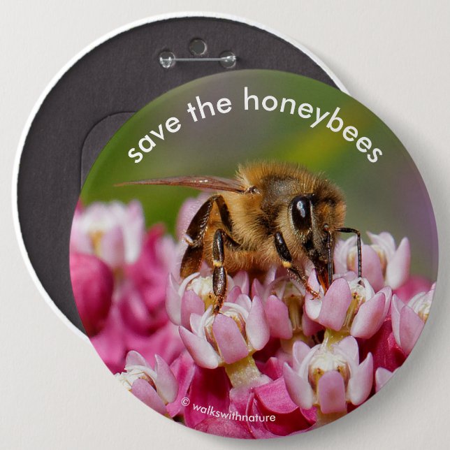 Save the Honeybees Pollinating Narrowleaf Milkweed 6 Cm Round Badge (Front & Back)