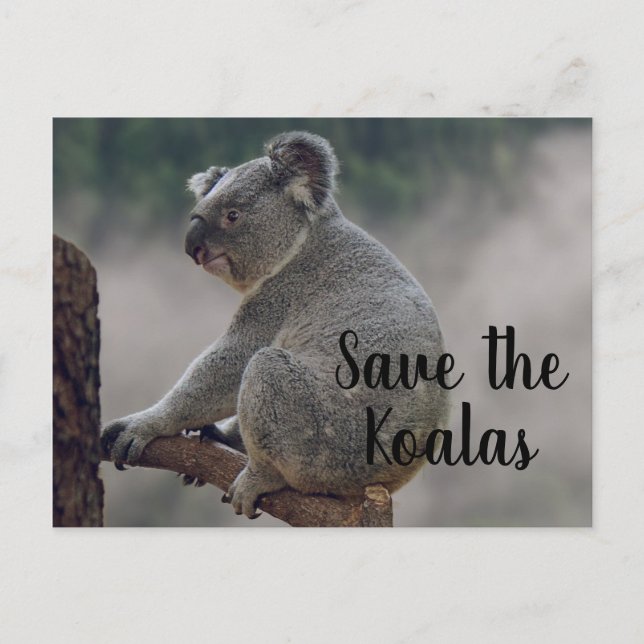 Save the Koalas Postcard (Front)