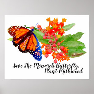 Save The Monarch Butterfly. Plant Milkweed. Poster