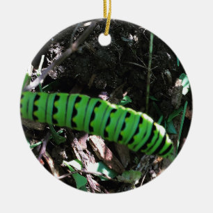 Save the Ohio Monarchs   Caterpillar Ceramic Ornament