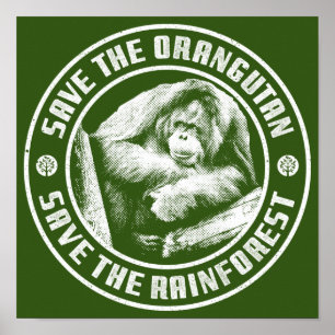 SAVE THE ORANGUTAN SAVE THE RAINFOREST. POSTER