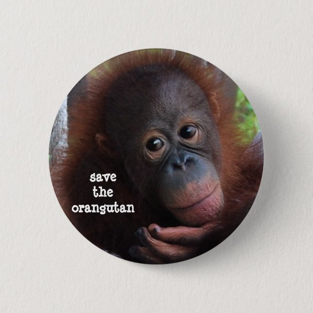 Save the Orangutans! 6 Cm Round Badge (Front)