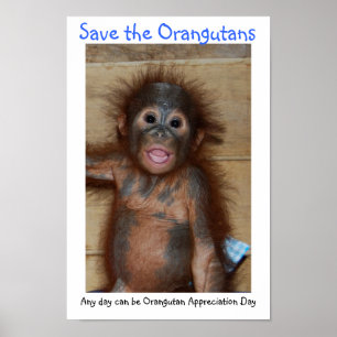 Save the Orangutans Poster