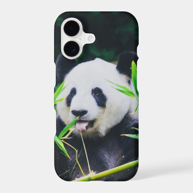 Save The Panda (Back)