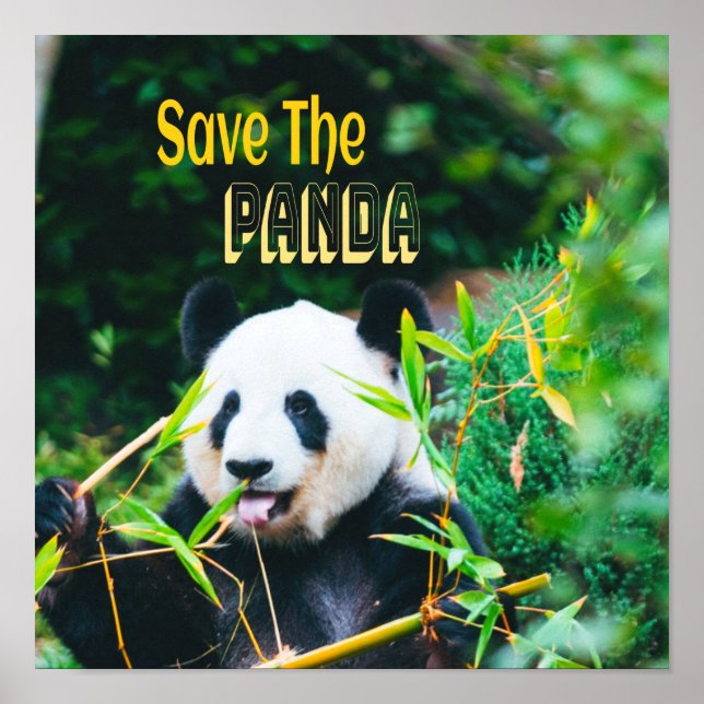 Save The Panda Poster (Front)