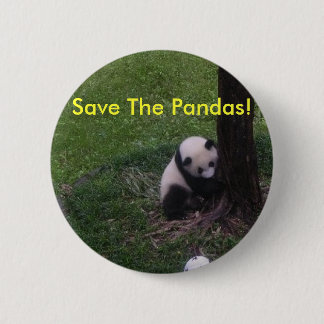 Save The Pandas! 6 Cm Round Badge