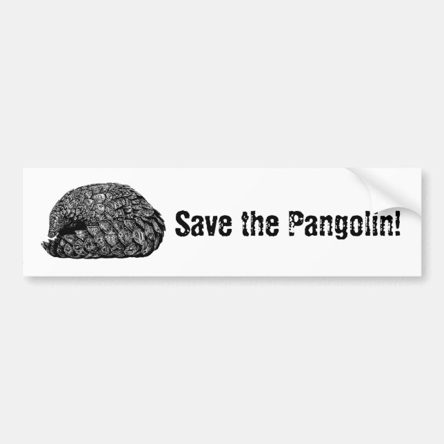 Save the Pangolin bumper sticker (Front)