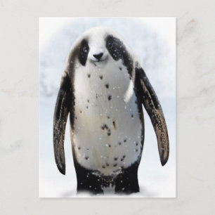 Save the Panguin! Postcard