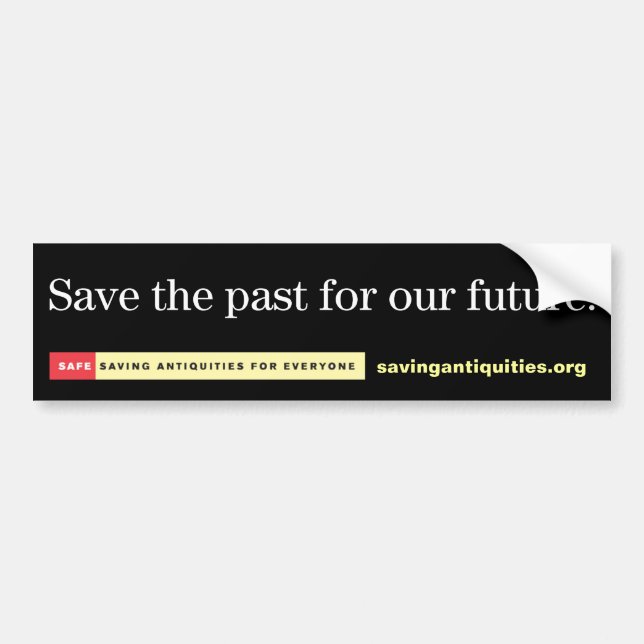 Save the past for our future bumper sticker (Front)