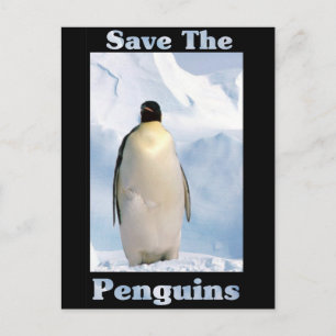 Save the Penguins Postcard