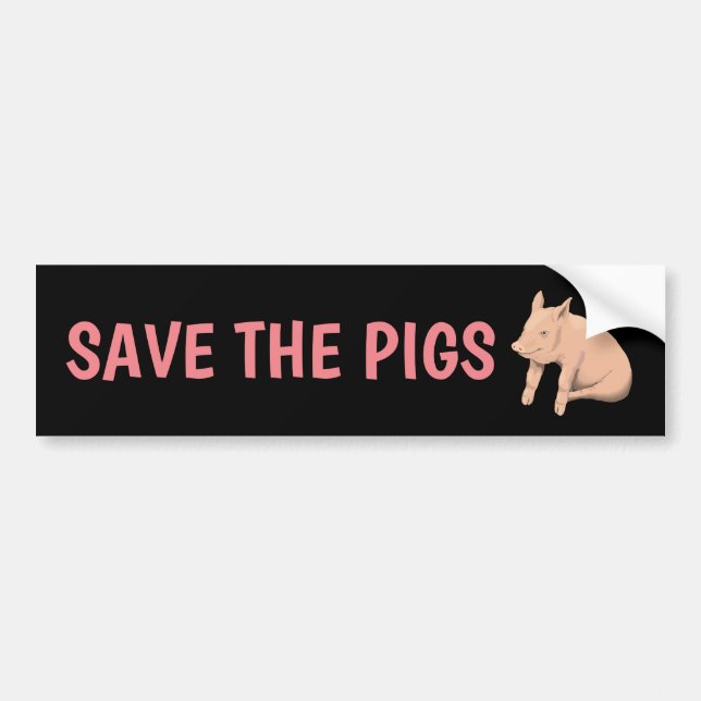 SAVE THE PIGS PIG BUMPER STICKERS (Front)