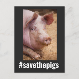 SAVE THE PIGS PIG VEGAN POSTCARDS