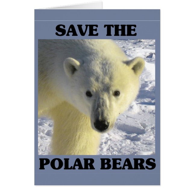 Save the Polar Bears (Front)