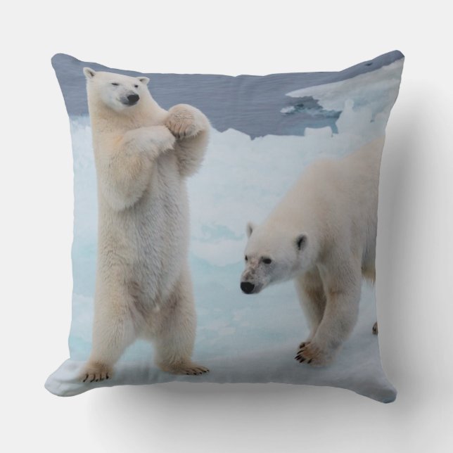 Save The Polar Bears Cushion (Front)