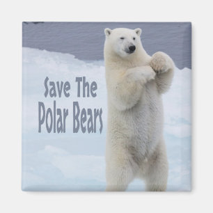 Save The Polar Bears Magnet