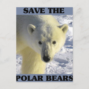 Save the Polar Bears Postcard