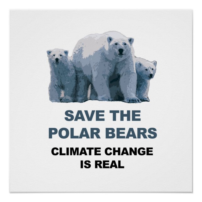 Save the Polar Bears! Poster (Front)
