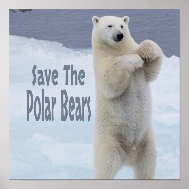 Save The Polar Bears Poster (Front)